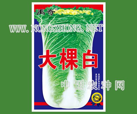 大棵白 高